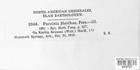 Puccinia menthae image